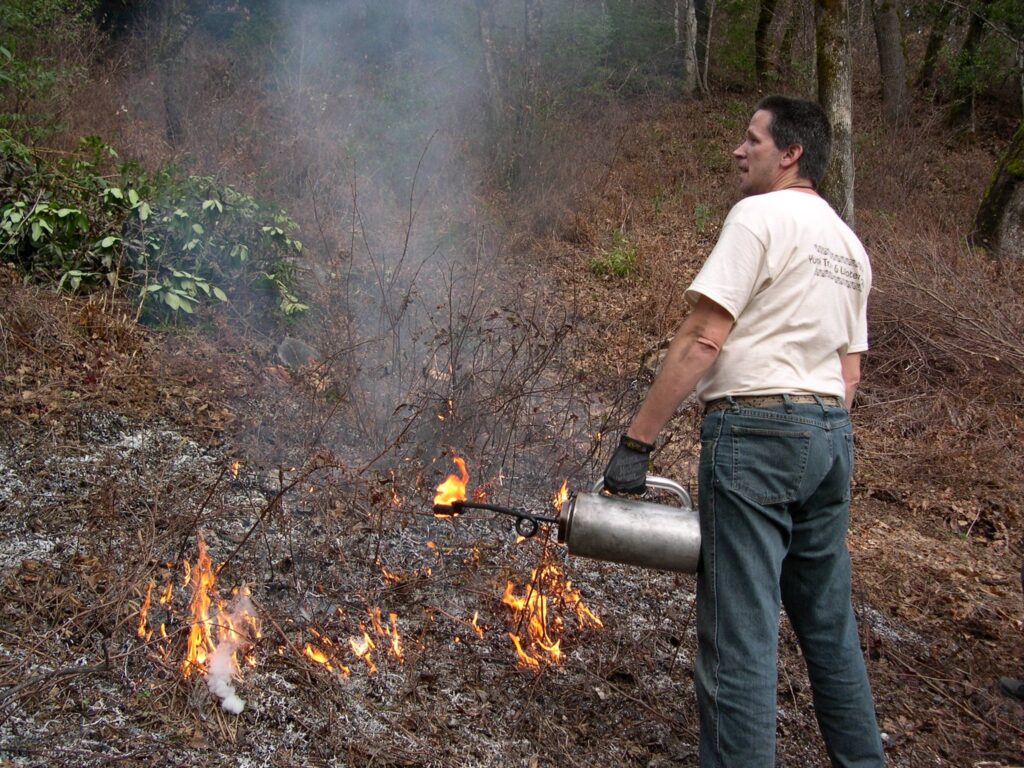 Toby Vanlandingham Cultural Fire practitioner test burning January 27 2013
